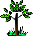 TreeCMR